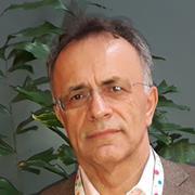 Prof Slavo Radosevic