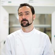 Dr Sergio Bertazzo